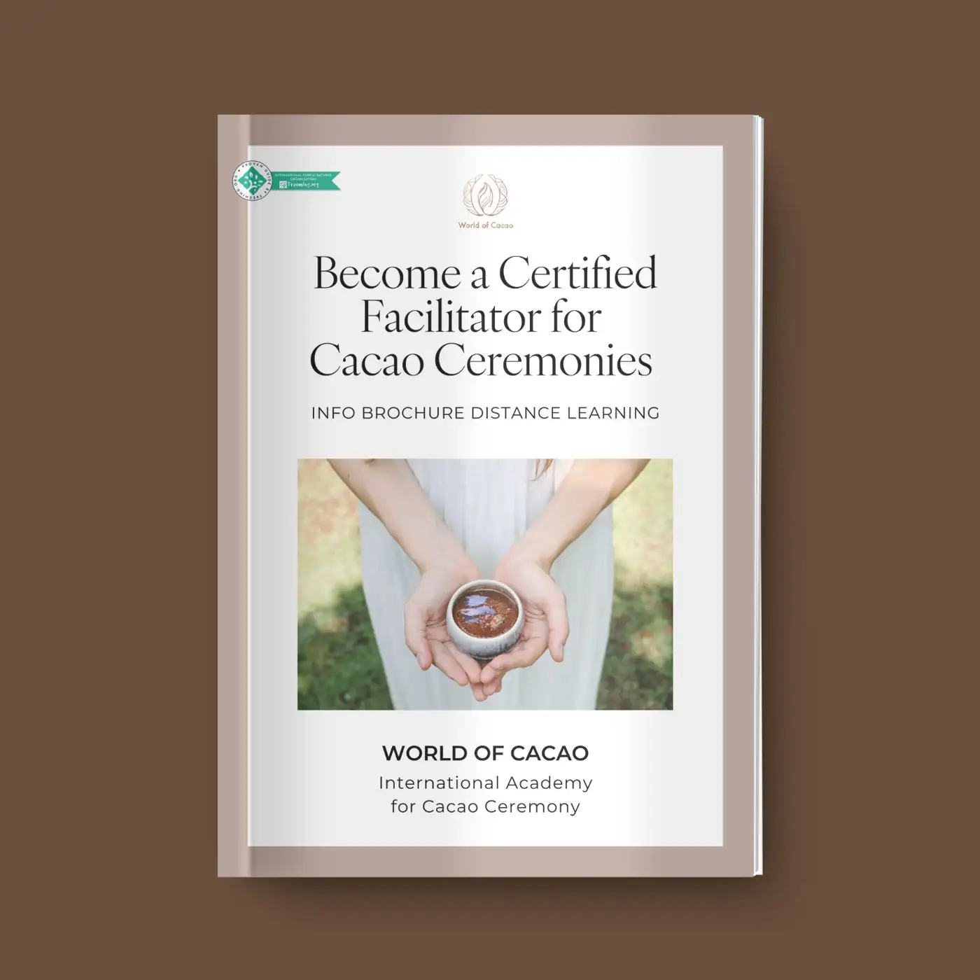 Cover of the Facilitator Brochure