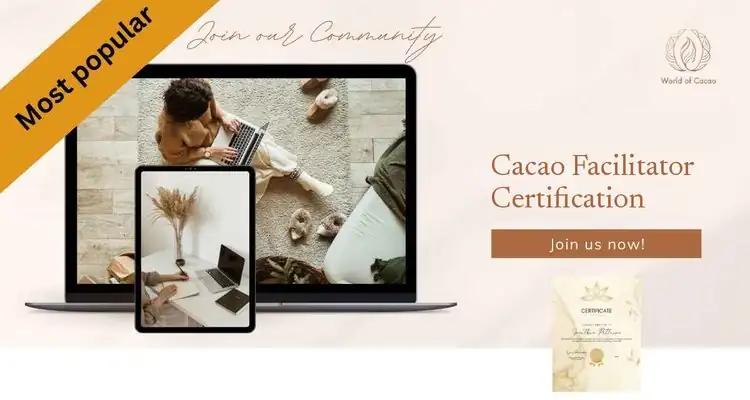 Advanced training on laptop and tablet with certificate