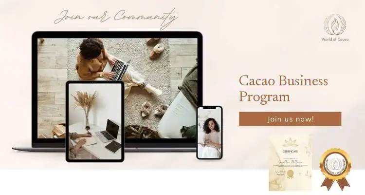 Business program on laptop, tablet and phone with certificate